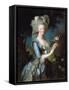 Marie Antoinette À La Rose, 1783-Marie Louise Elisabeth Vigee-Lebrun-Framed Stretched Canvas