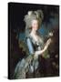 Marie Antoinette À La Rose, 1783-Marie Louise Elisabeth Vigee-Lebrun-Stretched Canvas