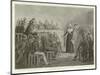 Marie Antoinette at the Revolutionary Tribunal-Denis Auguste Marie Raffet-Mounted Giclee Print