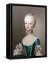 Marie Antoinette Daughter of Emperor Francis I and Maria Theresa of Austria-Jean-Etienne Liotard-Framed Stretched Canvas