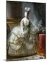 Marie-Antoinette de Lorraine-Habsbourg, archiduchesse d’Autriche, reine de France (1755-1795)-Brun Elisabeth Louise Vigée-Le-Mounted Giclee Print