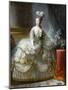 Marie-Antoinette de Lorraine-Habsbourg, archiduchesse d’Autriche, reine de France (1755-1795)-Brun Elisabeth Louise Vigée-Le-Mounted Giclee Print