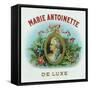 Marie Antoinette De Luxe Brand Cigar Box Label-Lantern Press-Framed Stretched Canvas