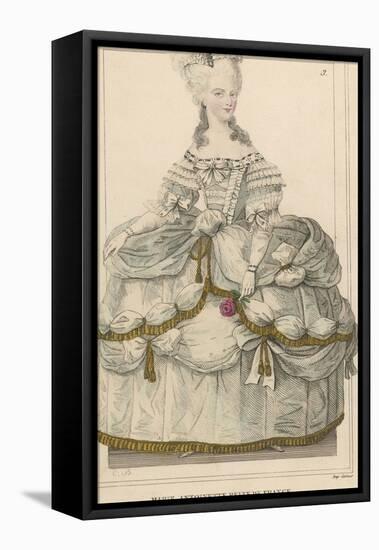 Marie Antoinette in Extravagant Dress and Holding a Rose-null-Framed Stretched Canvas