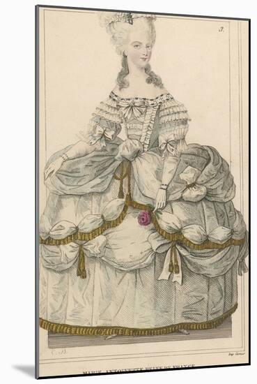 Marie Antoinette in Extravagant Dress and Holding a Rose-null-Mounted Photographic Print