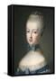 Marie Antoinette Queen of France, 1770-Jean Baptiste Charpentier-Framed Stretched Canvas