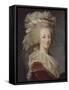 Marie-Antoinette, reine de France (1755-1793)-Elisabeth Louise Vigée-LeBrun-Framed Stretched Canvas