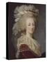 Marie-Antoinette, reine de France (1755-1793)-Elisabeth Louise Vigée-LeBrun-Stretched Canvas