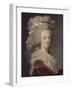 Marie-Antoinette, reine de France (1755-1793)-Elisabeth Louise Vigée-LeBrun-Framed Giclee Print