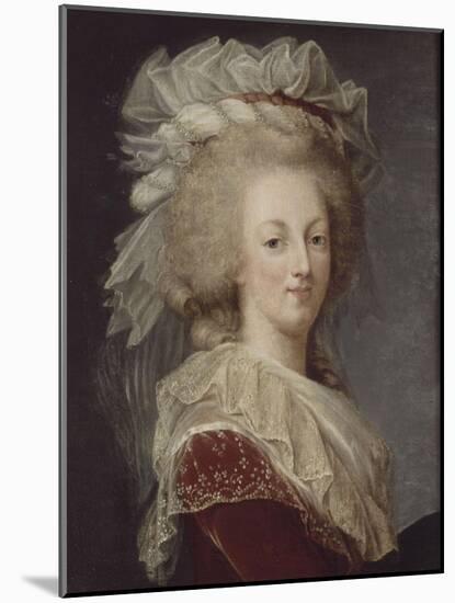 Marie-Antoinette, reine de France (1755-1793)-Elisabeth Louise Vigée-LeBrun-Mounted Giclee Print