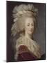 Marie-Antoinette, reine de France (1755-1793)-Elisabeth Louise Vigée-LeBrun-Mounted Giclee Print