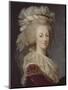 Marie-Antoinette, reine de France (1755-1793)-Elisabeth Louise Vigée-LeBrun-Mounted Premium Giclee Print