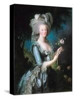 Marie-Antoinette with a Rose-Elisabeth Vigee-Lebrun-Stretched Canvas