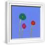 White Frame