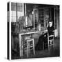Marie Curie, Polish-Born French Physicist, C1920-null-Stretched Canvas