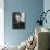 Marie Curie-null-Mounted Premium Photographic Print displayed on a wall