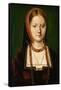 Marie D'angleterre - Portrait of Mary Tudor (1496-1533) - Michael Sittow (Maitre Michiel) (1460/68--Michiel Sittow-Framed Stretched Canvas