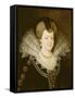 Marie De Medicis, Queen of France-Frans Pourbus The Younger-Framed Stretched Canvas
