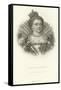 Marie De Medicis-Alphonse Marie de Neuville-Framed Stretched Canvas