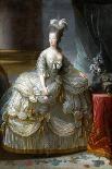 Portrait of Queen Marie Antoinette of France (1755-179)-Marie Louise Elisabeth Vigée-Lebrun-Stretched Canvas