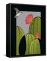 Framed Canvas