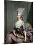 Marie-Therese De Savoie-Carignan (1749-92) Princess of Lamballe-Antoine Francois Callet-Mounted Premium Giclee Print