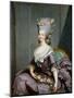 Marie-Therese De Savoie-Carignan (1749-92) Princess of Lamballe-Antoine Francois Callet-Mounted Giclee Print