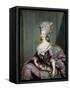 Marie-Therese De Savoie-Carignan (1749-92) Princess of Lamballe-Antoine Francois Callet-Framed Stretched Canvas