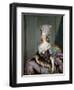 Marie-Therese De Savoie-Carignan (1749-92) Princess of Lamballe-Antoine Francois Callet-Framed Giclee Print