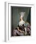 Marie-Therese De Savoie-Carignan (1749-92) Princess of Lamballe-Antoine Francois Callet-Framed Giclee Print