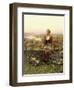 Marie-Daniel Ridgway Knight-Framed Giclee Print