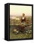 Marie-Daniel Ridgway Knight-Framed Stretched Canvas