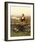 Marie-Daniel Ridgway Knight-Framed Giclee Print