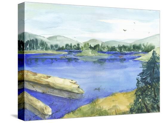 Stretched Canvas Print, , large