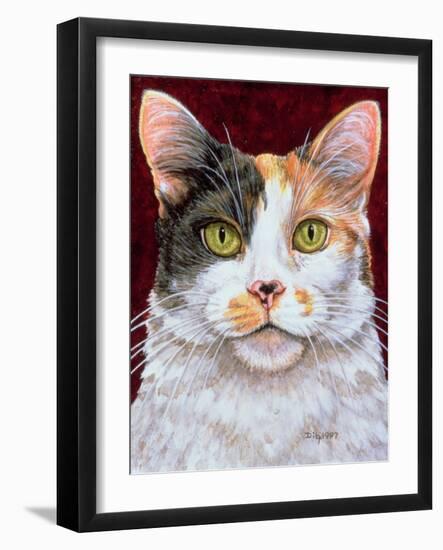 Marigold, 1997-Ditz-Framed Giclee Print