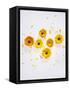 Marigold, Calendula Officinalis, Blossoms, Petals, Orange, Still Life-Axel Killian-Framed Stretched Canvas