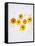Marigold, Calendula Officinalis, Blossoms, Petals, Orange, Still Life-Axel Killian-Framed Stretched Canvas