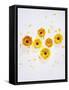 Marigold, Calendula Officinalis, Blossoms, Petals, Orange, Still Life-Axel Killian-Framed Stretched Canvas