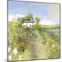 Marigold Cottage-Ken Hurd-Mounted Giclee Print