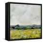 Marigold Field-Evelia Designs-Framed Stretched Canvas
