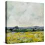 Marigold Field-Evelia Designs-Stretched Canvas