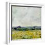 Marigold Field-Evelia Designs-Framed Art Print