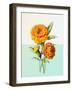 Marigold Yellow-null-Framed Art Print