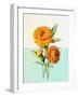 Marigold Yellow-null-Framed Art Print