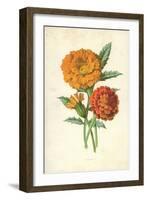 Marigold-Frederick Edward Hulme-Framed Giclee Print