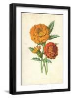 Marigold-Frederick Edward Hulme-Framed Giclee Print