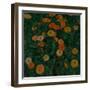 Marigolds, 1909-Koloman Moser-Framed Giclee Print