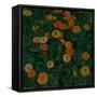 Marigolds, 1909-Koloman Moser-Framed Stretched Canvas
