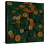 Marigolds, 1909-Koloman Moser-Stretched Canvas