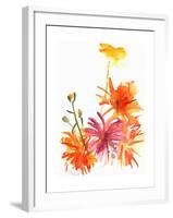 Marigolds and Other Flowers, 2004-Claudia Hutchins-Puechavy-Framed Giclee Print